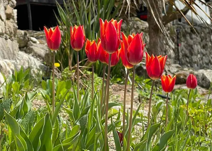 With Hot Pool By Bookvillabg Willa