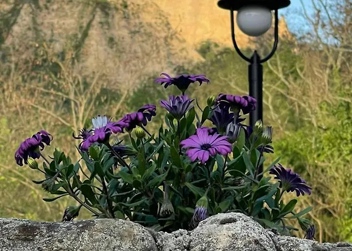 Willa With Hot Pool By Bookvillabg